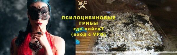 шишки Алзамай