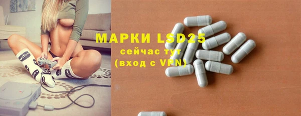 шишки Алзамай