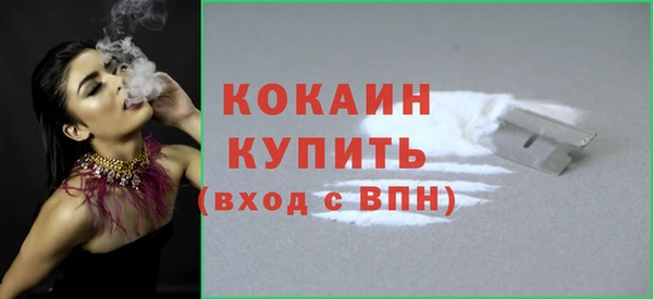 дживик Остров