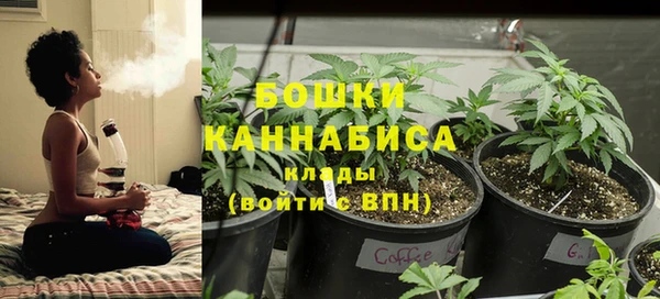 трава Алексин