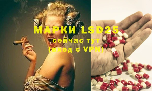 шишки Алзамай